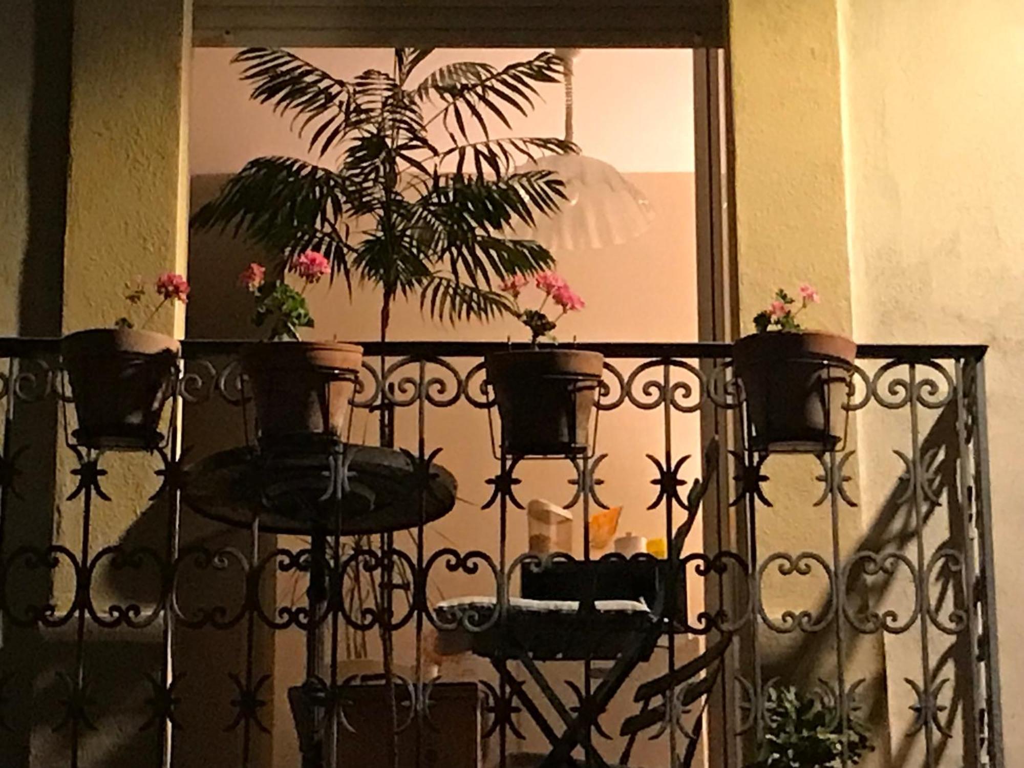 Chambre Japonaise Montpellier Eksteriør bilde