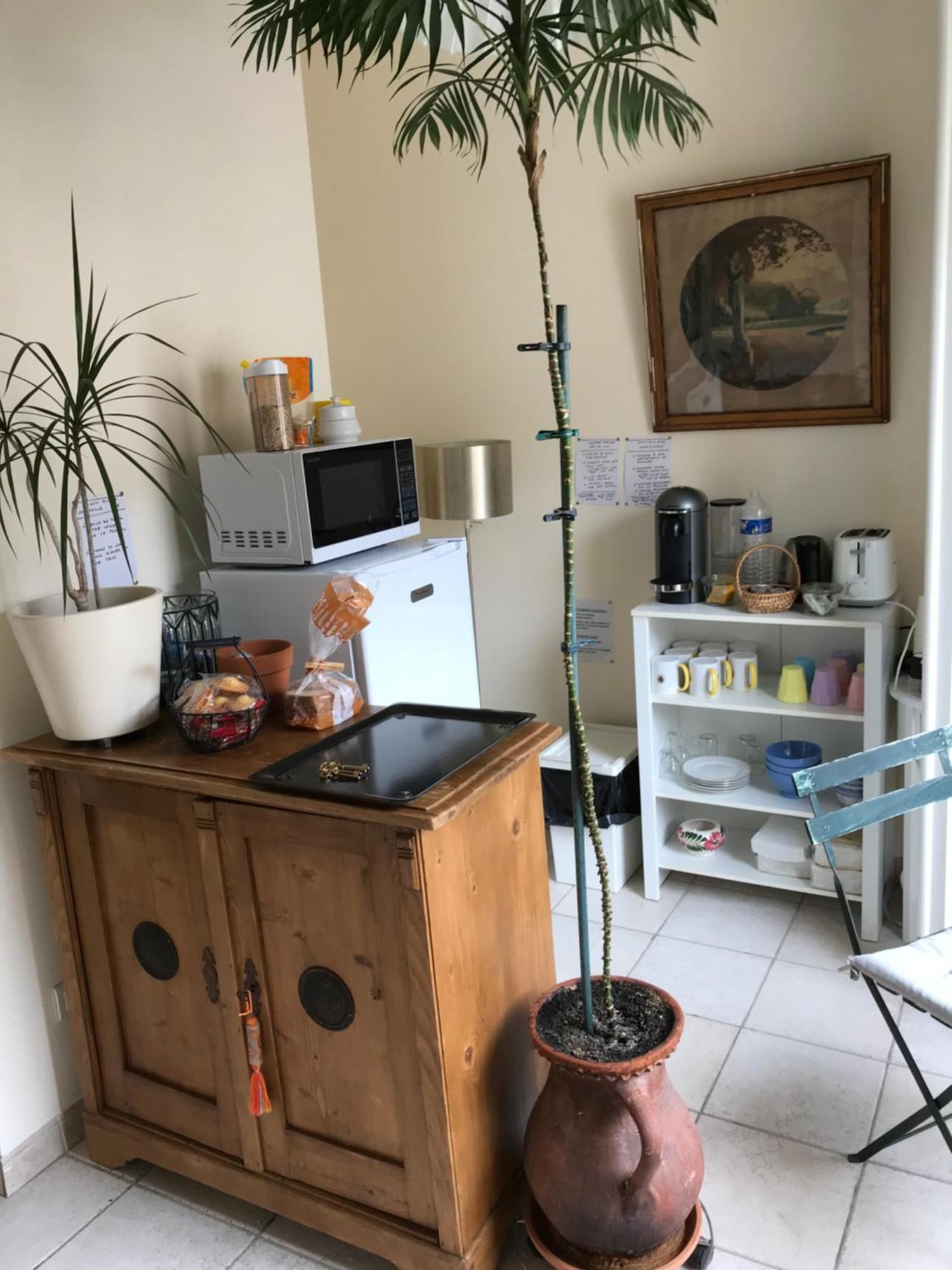 Chambre Japonaise Montpellier Eksteriør bilde